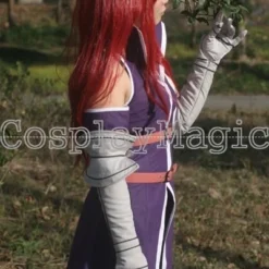 Fairy Tail Team Fairy Tail A Erza Scarlet Cosplay -Cosplay Magic Store 13920k