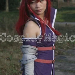 Fairy Tail Team Fairy Tail A Erza Scarlet Cosplay -Cosplay Magic Store 13920l