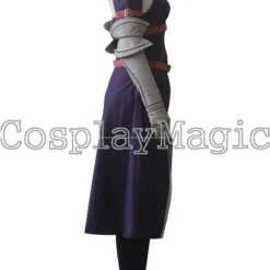 Fairy Tail Team Fairy Tail A Erza Scarlet Cosplay -Cosplay Magic Store 13924