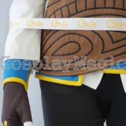 The Legend Of Zelda: Breath Of The Wild Princess Zelda Cosplay 20 The Legend Of Zelda: Breath Of The Wild Princess Zelda Cosplay -Cosplay Magic Store 19070g
