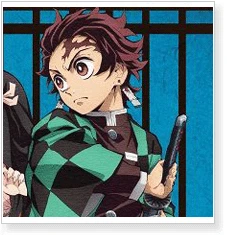 Demon Slayer: Kimetsu No Yaiba Kamado Tanjirou Cosplay