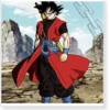 Dragon Ball Xeno Goku Cosplay