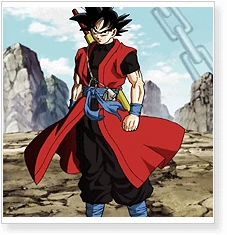 Dragon Ball Xeno Goku Cosplay