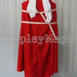 Dragon Ball Great Saiyaman Cosplay Costume -Cosplay Magic Store 21092