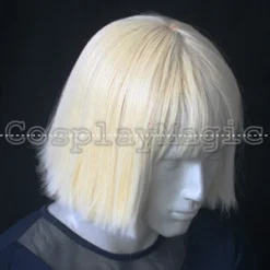 Bleach Hirako Shinji Cosplay Wig -Cosplay Magic Store PJ1243 4