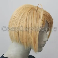 Shugo Chara! Tadase Hotori Cosplay Wig -Cosplay Magic Store PJ1258 2