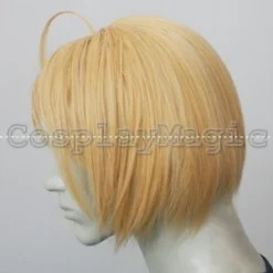 Shugo Chara! Tadase Hotori Cosplay Wig -Cosplay Magic Store PJ1258 4