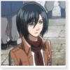 Attack On Titan Mikasa Ackerman 104th Trainees Squad Cosplay