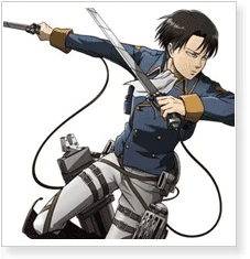 Attack On Titan: The Wings Of Counterattack Levi Ackerman Cosplay