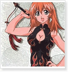 Battle Vixens Ikki Tousen Cheongsam Cosplay