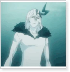 Bleach Hollowfied Tensa Zangetsu Cosplay