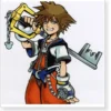 Kingdom Hearts 1 Sora Cosplay