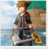 Kingdom Hearts 3 Sora Cosplay For Kids