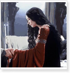 Lord Of The Rings Arwen Cosplay