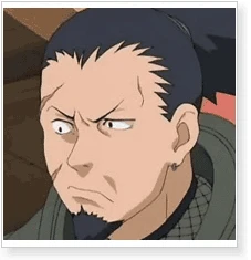 Naruto Shikaku Nara Cosplay