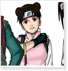 Naruto Shippuden Tenten Fan Art Cosplay