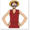 One Piece Monkey D. Luffy Cosplay