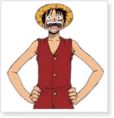 One Piece Monkey D. Luffy Cosplay