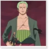 One Piece Roronoa Zoro After The Timeskip