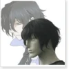 Pandora Hearts Gilbert Nightray Cosplay Wig