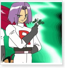 Pokemon Team Rocket James Cosplay