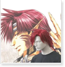 Saiyuki Kougaiji Cosplay Wig