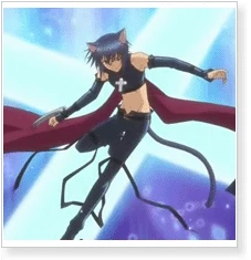 Shugo Chara! Ikuto Tsukiyomi Black Lynx Cosplay