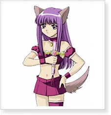 Tokyo Mew Mew Zakuro Fujiwara Cosplay