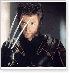 X-Men Wolverine Cosplay